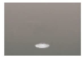 Bjc coral color - Tecla interruptor conmutador y cruzamiento con difusor serie coral gsl