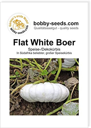 Bobby-Seeds Kürbissamen Flat White Boer Portion