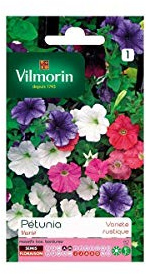Vilmorin - Sachet graines Pétunia varié