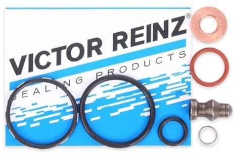 Reinz 15-38642-01 Reparatursatz, Pumpe-Düse-Einheit