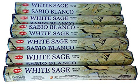 Bestthing Hem Lot de 120 bâtons d'encens en vrac - 6 x 20 bâtonnets - Sauge blanche