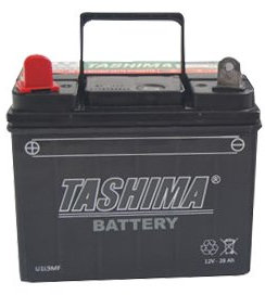 Greenstar 11779 Batterie U1.L9 chargée sans entretien
