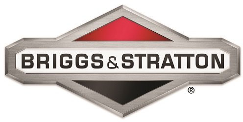 2 X Briggs and Stratton Genuine 100006 1.4L E-Engine Oil SAE 30