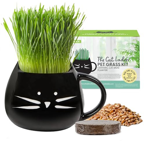 The Cat Ladies Hierba Gatera para Gatos - Kit Hierba para Gatos con Semillas para Interiores con 1x Disco de Tierra y 1x Taza con Forma de Gatito