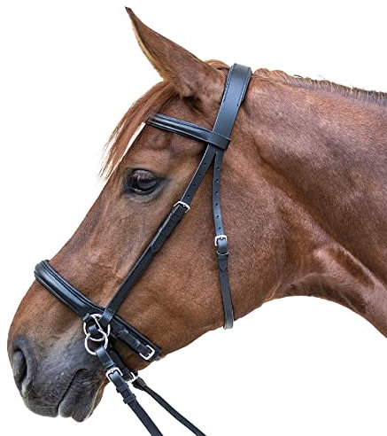 WALDHAUSEN Star Zaum Gebisslos