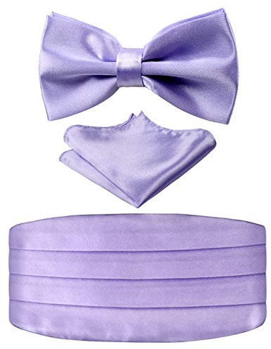 Alizeal herr solid / paisley fluga, kummerbund och anky set