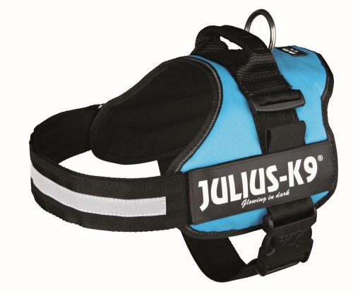 Julius-K9, Arnés K9 Power, Tamaño: 2, Colore: aguamarina