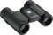 Olympus 10 x 21 RC II WP Fernglas dunkelgrün