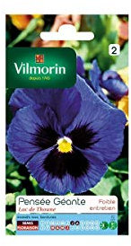 Vilmorin Sachet graines Pensée géante lac de thoune