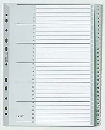 Leitz Register für A4, Deckblatt aus Karton und 31 Trennblätter aus Kunststoff, Taben mit Zahlenaufdruck 1-31, Überbreite, Grau, 12810000