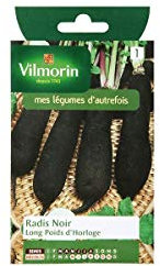 Vilmorin - Sachet graines Radis noir long poids d'horloge