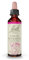 FLEURS DE BACH ORIGINAL - Star of Bethlehem No 29 - Pour plus de réconfort - Aide à s’apaiser suite à un choc émotionnel - Élixir floral naturel pour le bien-être - Compte-Gouttes 20ml - Vegan