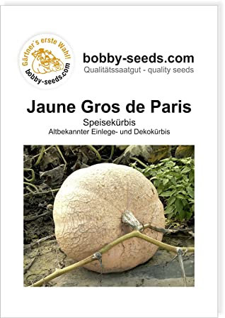 Bobby-Seeds Kürbissamen Jaune Gros de Paris - Gelber Zentner Portion