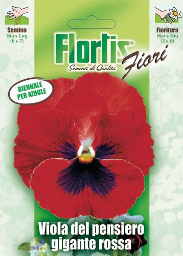 Flortis 4351207 Riesige Rote Stiefmütterchen (Stiefmütterchensamen)