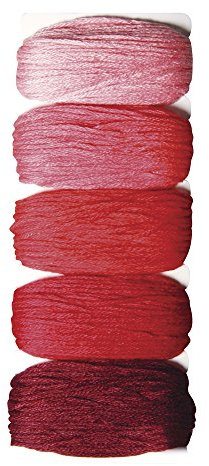 Rayher 53564286 Baumwoll-Garn Stitch & Knot, Rottöne, 5 Farben je 10 m (50 m), Kreuzstich-Garnset, Stickgarn Set, Knüpfgarn, Garn für Freundschaftsbänder, Kirschrot