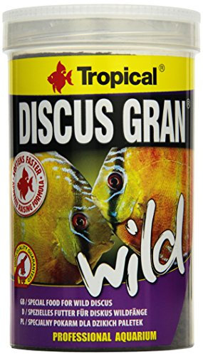 Tropical Discus Gran Wild, 1er Pack (1 x 1 l)