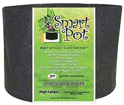 Smart Pots 30-Gallon Smart Pot Soft-Sided Container, Black