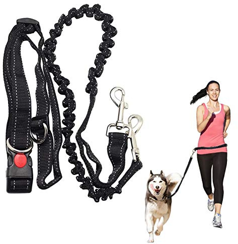 Hands Free Running Dog Lead, Multifunctional Adjustable Dog Leash, Dog Walking Lead, Adjustable Dogs Seat Belt With Elastic Bungee And Reflective Stripe For Puppy, Large Dogs Lead
