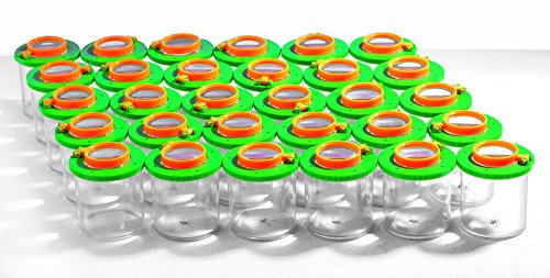 Becherlupen Groß im 30er Set in Premium Qualität