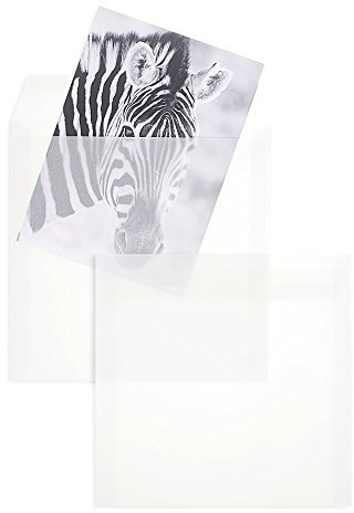 250 Stück, Transparente Briefumschläge, 220 x 220 mm, Haftklebung mit Abziehstreifen, Gerade Klappe, 110 g/qm Offset, Ohne Fenster, Weiß (Transparent-Weiß), Blanke Briefhüllen