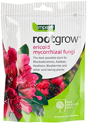 Empathy Rootgrow 1 kg ericoid Champignons mycorhiziens 200 g