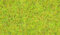 NOCH Streugras „Sommerwiese“, statisches Gras, 2,5 mm, 120 g Dose für naturgetreue Modellbahngestaltung in H0 und weiteren Maßstäben
