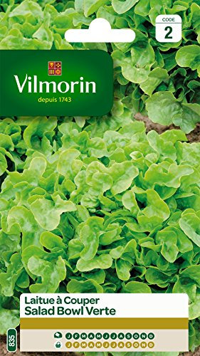 Vilmorin 3609742 Pack de Graines Laitue à Couper Salade Bol Vert