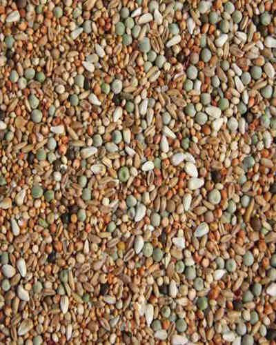 Goldkorn Taubenfutter - Kleine Rassen/Jungtauben, 25kg, Erbsen, Getreide und Hirse