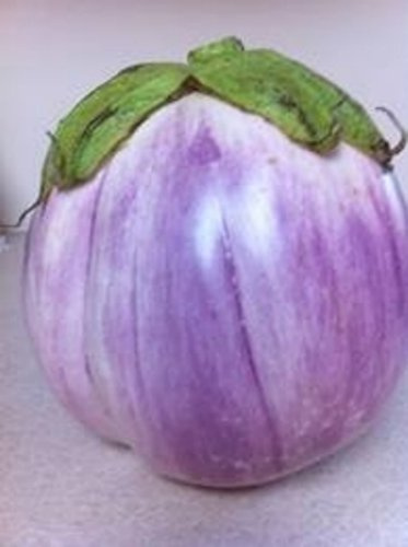 Rosa Bianca Eggplant Seeds- Heirloom- 100+ Seeds