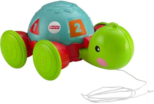 Fisher-Price Tortuga de Arrastre, Juguete Gateo bebés +1 año (Mattel Y8652)