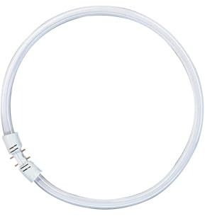 Osram Lumilux T5, fluorescerande lampor, uttag 2Gx13 FC 22 W/840