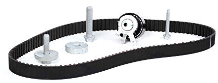 INA 530 0197 10 kamrem kit