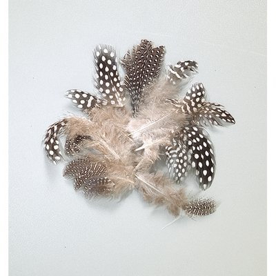 Efco Perlhuhn-Molton 40-80 mm, 3 g ~ 36 Stück, natürlich, Federn, 12 x 5 x 2 cm