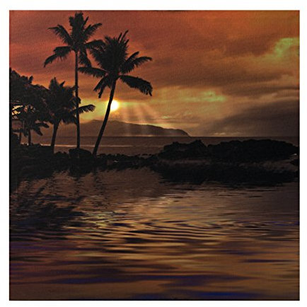 Birendy LED Bild Sonnenuntergang, Strand mit Palmen,Bild, LED Stimmungsbild mit 1 LED und 50 cm Breit x 50 cm Hoch Batteriebetrieb, nur 0,06W, Leuchtbild auf Leinwand mit An und Ausschalter