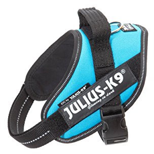 JULIUS K-9 IDC Powergeschirr, Größe: XS / Mini-Mini, Aquamarine, 16IDC-AM-MM