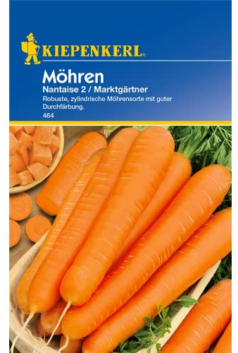 Kiepenkerl Möhren 'Nantaise 2 Marktgärtner',1 Portion