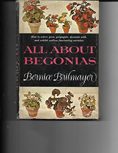 All about begonias