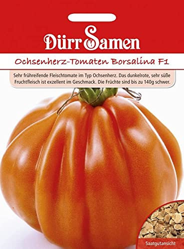 Ochsenherztomate Samen Borsalina F1 Ochsenherztomatensamen Fleischtomate Rote Tomate Tomatensamen ca 8 Korn 140g Früchte Garten Hochbeet Kübel Dürr Samen