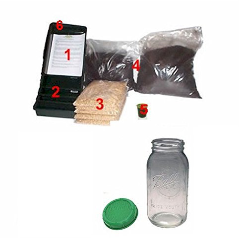 Wheatgrass Growing Kit - Grow Fresh Wheatgrass. With A Sprouting Jar & Lid