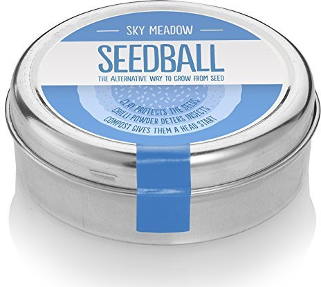 Sky Meadow Seed Balls - Semi misti di fiori di campo per le api (1500 per latta) Prodotto GB