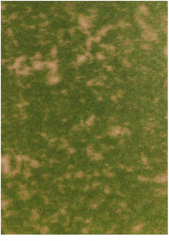Busch 1303 – Groundcover – marktäcke: Sommargräs