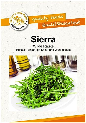 Salatsamen Sierra Rucola - Wilde Rauke Portion