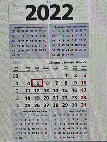 5 Monats-Wandkalender 2022 weiß/grau