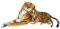 Plüschtier Tiger mit Baby - liegend - braun - 85 cm