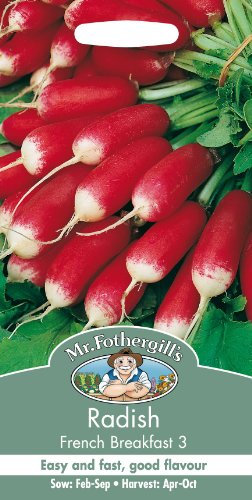 Mr Fothergills - Pictorial Packet - Vegetable - Radish French Breakfast 3-1000 Seeds