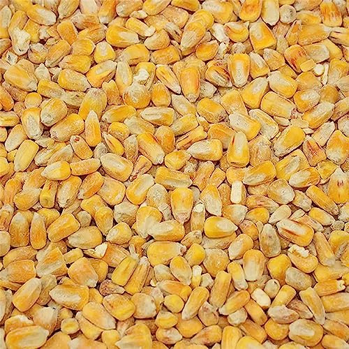 Copdock Mill Whole Maize Chicken Feed, 20kg - Premium Quality Yellow Maize - 100% Natural High In Fat and Rich In Energy Complementary Feed - Suitable for Poultry, Doves, Pigeons, Water and Game Birds