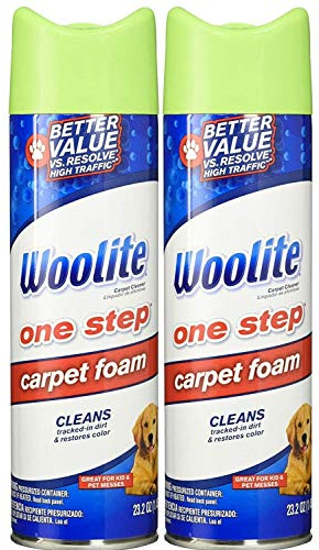 Woolite One Step Foam Carpet Cleaner - 22 oz - 2 pk