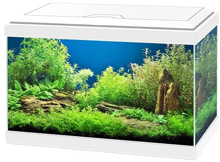 Ciano Aqua 20 Aquarium with LED Lights & Filter WHITE