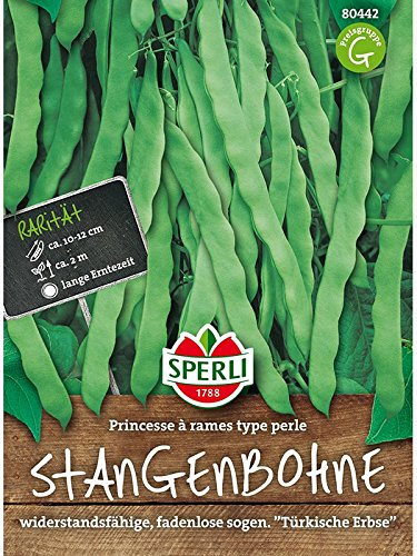 Stangenbohne Princesse a rames (Türkische Erbse)