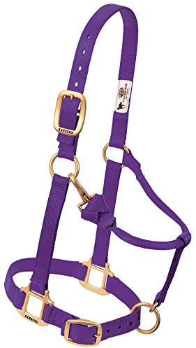 Väv läder original justerbar nylon hästgrimma sugande, lila